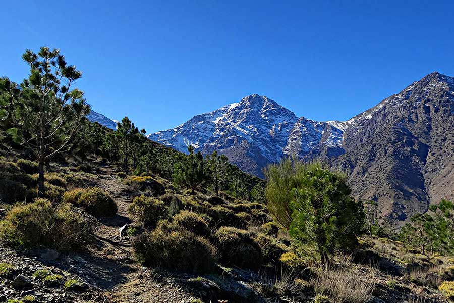 6 Days trekking - Toubkal